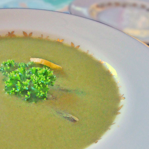 Oma's Asparagus Soup Recipe