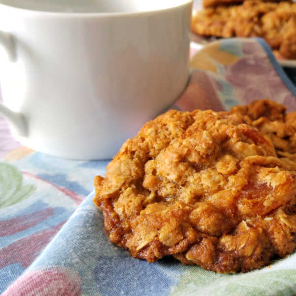 Oma's Best Oatmeal Cookie Recipe with Apricots