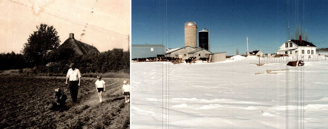 Heidi's Story: From the North Sea to Northern Quebec